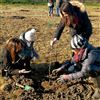 Accordo tra Comune e ANT per un “Bosco della Vita e giardino degli insetti impollinatori”